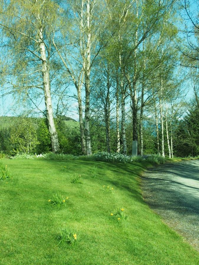 The Garden Room At Te Anau Country Accommodation Esterno foto